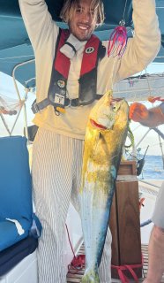 Une baleine, un ceviche et 280 milles restants : cap au sud