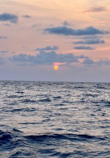 Cap à l’Est – Carnets de mer vers Madère