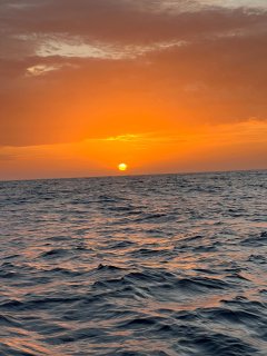 Croiser l’ARC : une soirée animée sur l’océan